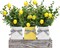 Lemon Mason Jars Centerpiece for Table, Wood Tray with 3 Painted Jars, Dining Coffee Table Centerpiece For Kitchen, Living Room, Spring Mason Jar Decor with Lemon